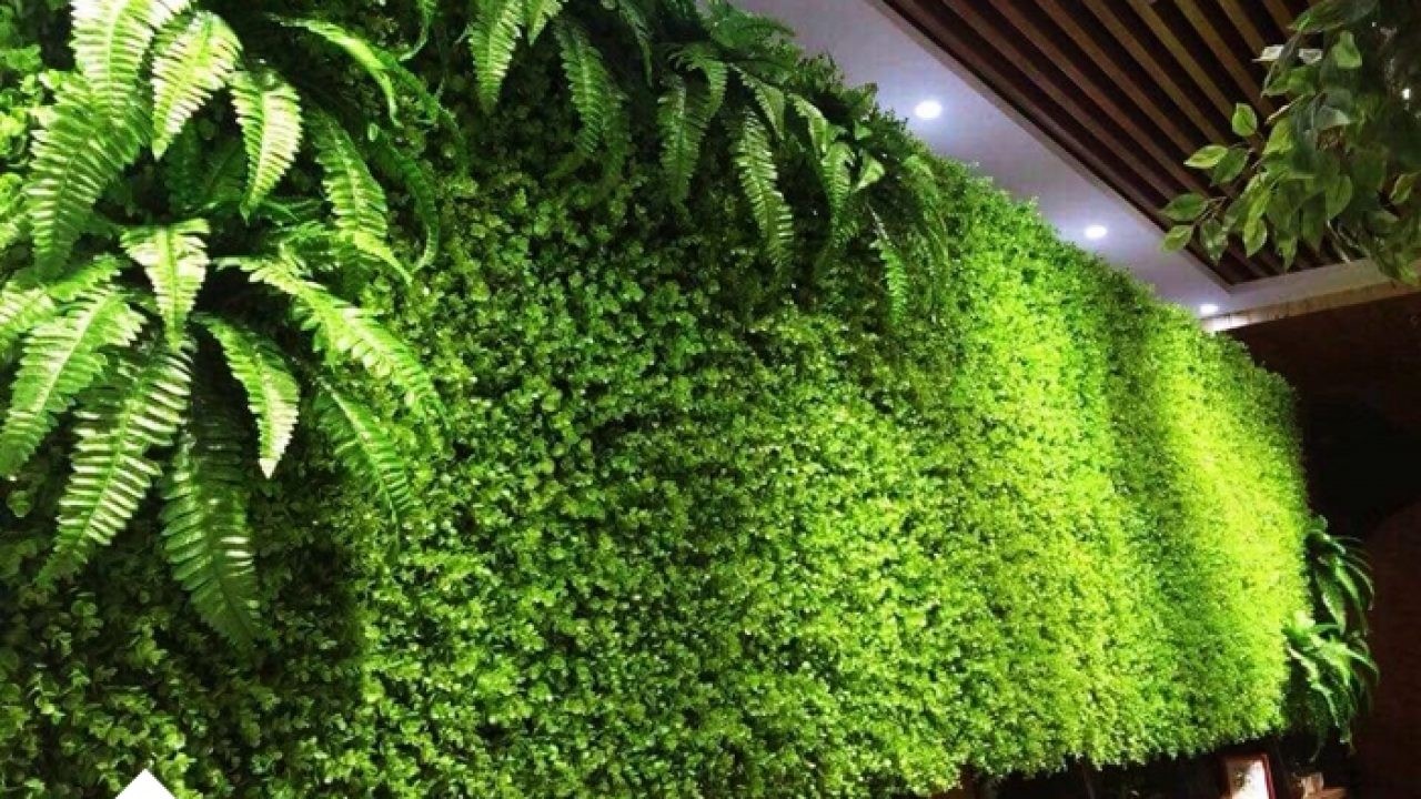 5 bước thi công cỏ nhân tạo ốp tường không gian xanh | Trình Thuận Phát