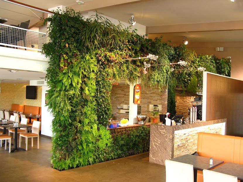 Vườn tường đứng trang trí trong nhà hàng, khách sạn, quán café