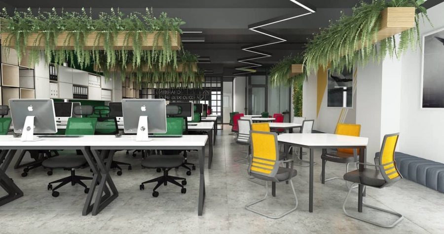 Thiết kế văn phòng nhân viên tận dụng tối đa không gian xanh