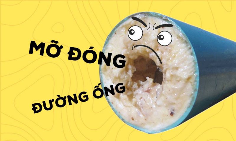 cách thông cống, cách thông cống bị tắc mỡ, cách thông cống thoát nước tại nhà, cách thông cống bồn cầu, cách thông cống nhà tắm, cách thông cống bồn rửa bát, cách thông cống bằng muối