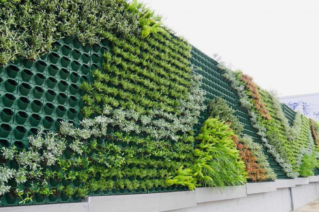 Vườn tường là gì? Giải pháp hoàn hảo cho không gian xanh