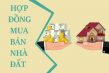 hợp đồng mua bán nhà đất, hợp đồng mua bán nhà đất viết tay, hợp đồng mua bán nhà đất công chứng, hợp đồng mua bán nhà đất là gì, hợp đồng mua bán nhà đất 3 bên, hợp đồng mua bán nhà đất mới nhất, hợp đồng mua bán nhà đất 2021, bản hợp đồng mua bán nhà đất, hợp đồng mua bán nhà đất 2020