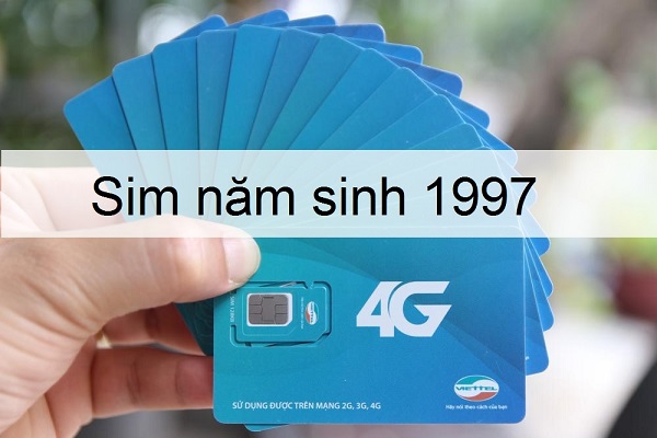 Sim Đinh Sửu 1997 - Kích Tài, Đón Lộc cùng Mytour