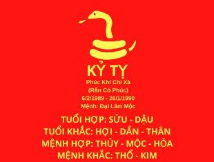 Sinh năm 1989 tuổi gì mệnh gì?