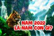Giải đáp năm 2020 là năm con gì?