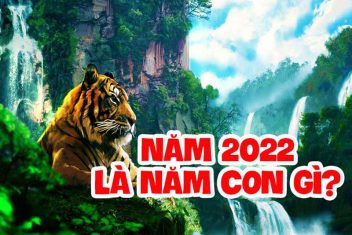 Giải đáp năm 2020 là năm con gì?