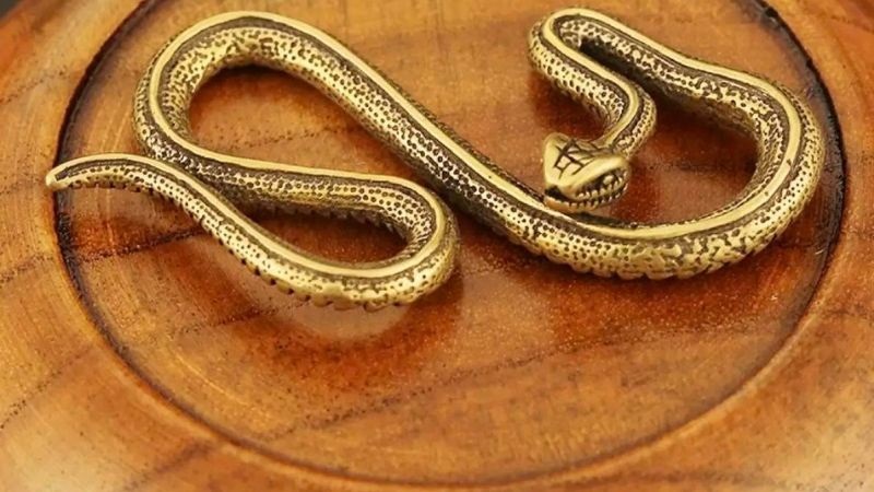 GIẢI MÃ: Nằm mơ thấy rắn là điềm lành hay dữ, tốt hay xấu?